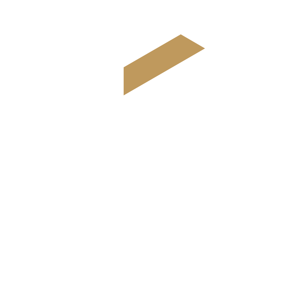 Force Partners